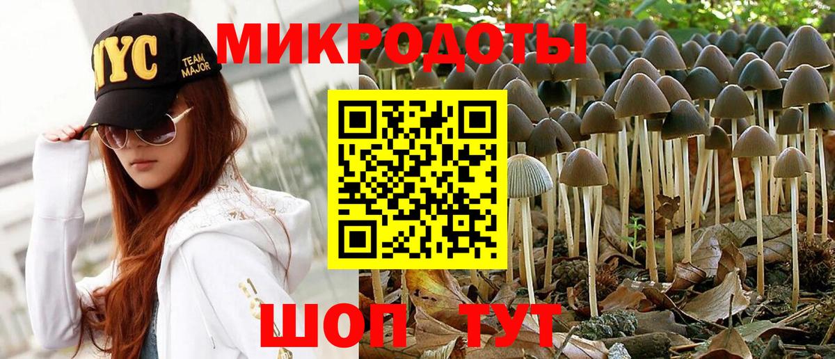Псилоцибиновые грибы мухоморы Пушкино