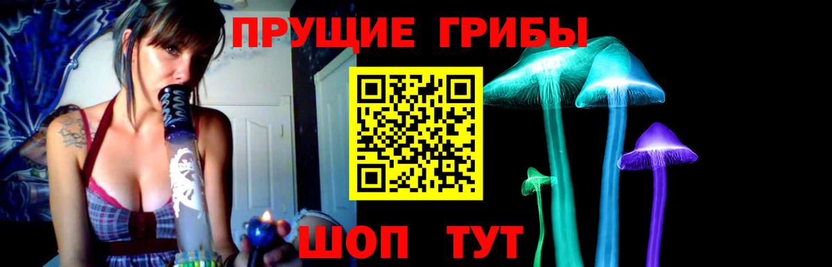 Псилоцибиновые грибы мухоморы  Галлюциногенные грибы Cubensis  Пушкино  Вход с VPN 